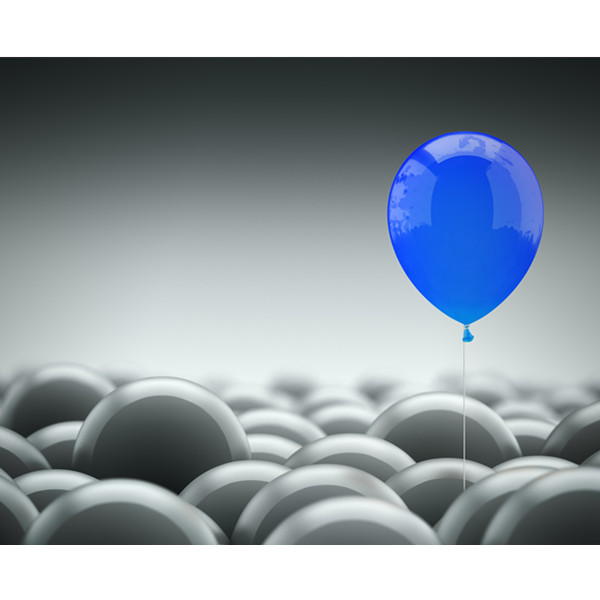 Discover Who We Are and What We Can Do for You