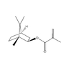 Isobornyl methacrylate / IBOMA